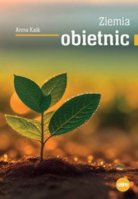 Ziemia obietnic - Kaik Anna - książka