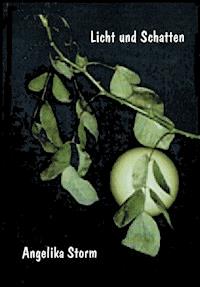 Licht und Schatten - Angelika Storm - ebook