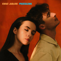 Przesilenie (Digipack) -  - książka