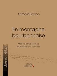 En montagne bourbonnaise - Antonin Brisson - ebook