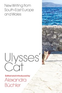 Ulysses's Cat -  - ebook