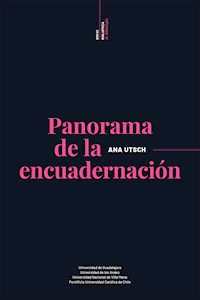 Panorama de la encuadernación - Ana Utsch - ebook