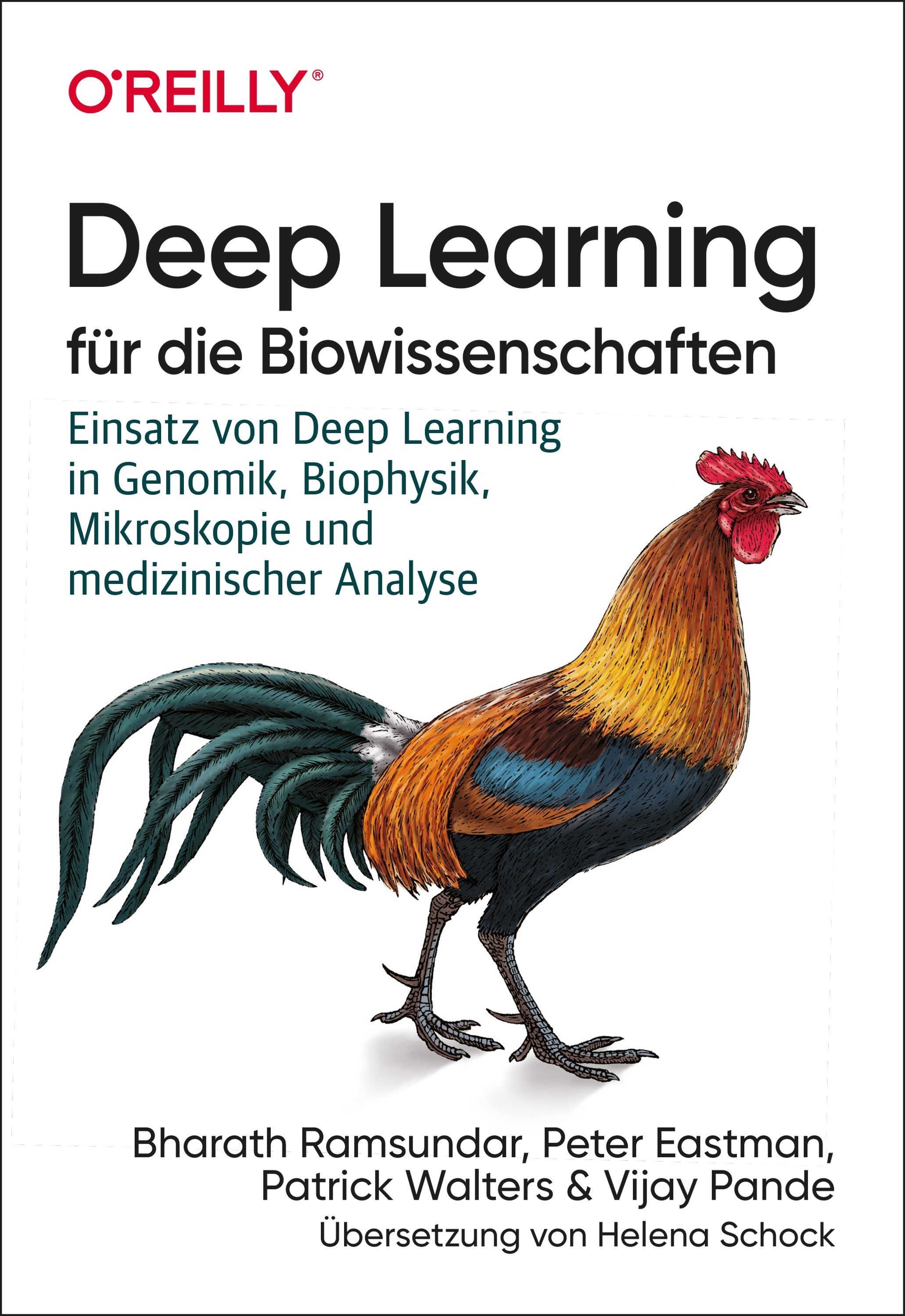Deep Learning für die Biowissenschaften