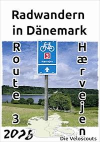 Route 3 - Die Veloscouts - ebook
