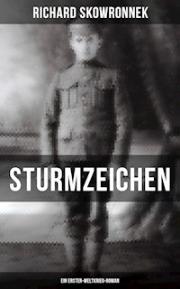 Sturmzeichen (Ein Erster-Weltkrieg-Roman) - Richard Skowronnek - ebook