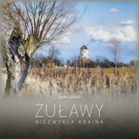 Żuławy - Golicki Józef - książka