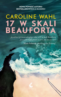 17 w skali Beauforta - Caroline Wahl - ebook + książka