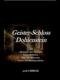 Geister-Schloss Dohlenstein oder Abenteuer eines flüchtigen Pariser Studenten. Eine sehr interessante Geister- und Räubergeschichte. - . unbekannt - ebook