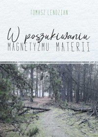 W poszukiwaniu magnetyzmu materii - Tomasz Lendzian - ebook + książka