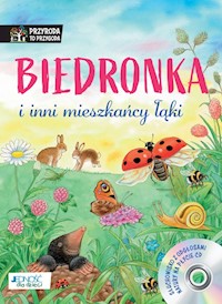 Biedronka i inni mieszkańcy łąki+ CD - Reichenstetter Friederun - książka