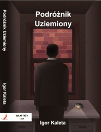 Podróżnik uziemiony - Igor Kaleta - ebook