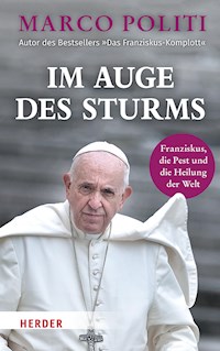 Im Auge des Sturms - Marco Politi - ebook