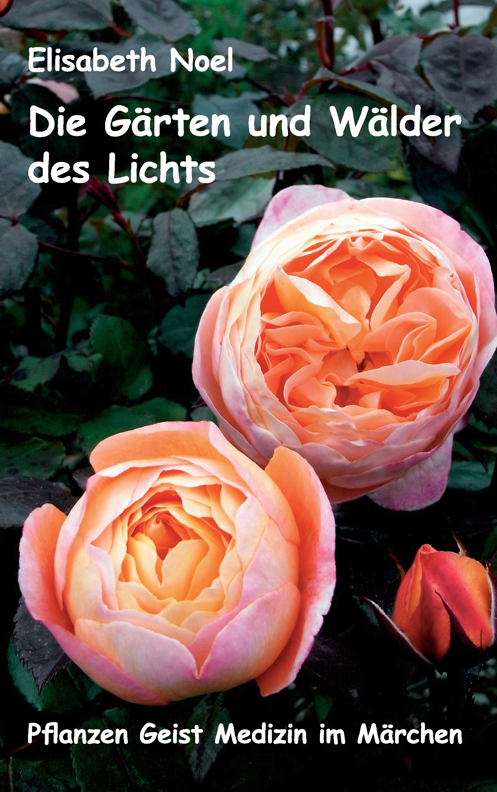 Die Gärten und Wälder des Lichts