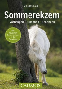 Sommerekzem - Anke Rüsbüldt - ebook