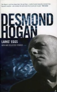 Larks' Eggs - Desmond Hogan - ebook