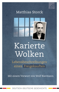 Karierte Wolken - Matthias Storck - ebook