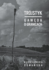Trójstyk. Gawęda o granicach - Aleksandra Domańska - ebook