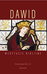 Dawid. Medytacje biblijne - Stanisław Biel SJ - ebook