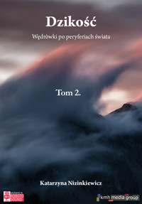 Dzikość. Wędrówki po peryferiach świata (tom 2) - Nizinkiewicz Katarzyna - audiobook