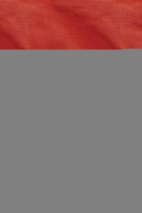 Tentmaking - Patrick Lai - ebook