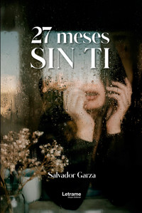 27 Meses sin ti - Salvador Garza - ebook