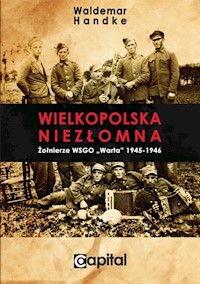 Wielkopolska niezłomna - Handke Waldemar - książka