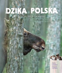 Dzika Polska - Kłosowski Tomasz - książka