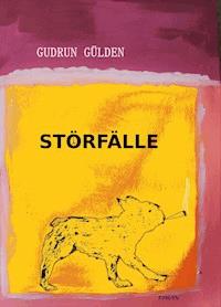 STÖRFÄLLE - Gudrun Gülden - ebook