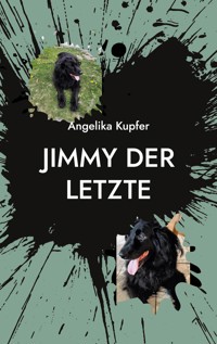 Jimmy der Letzte - Angelika Kupfer - ebook