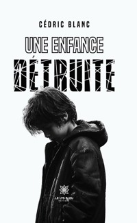 Une enfance détruite - Cédric Blanc - ebook