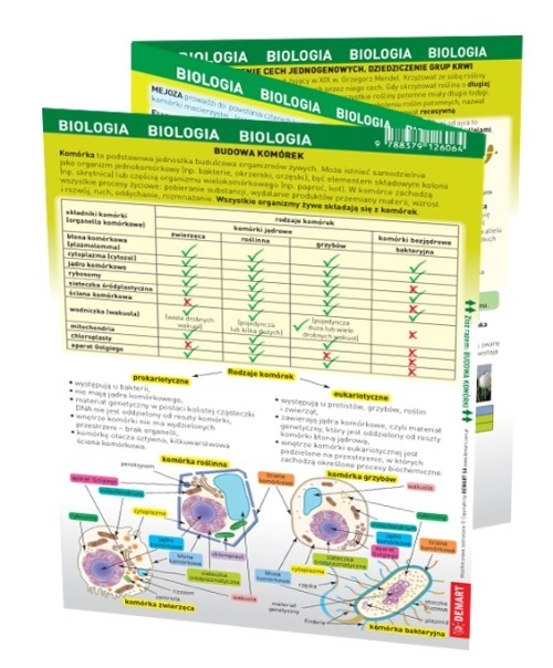 Biologia. MAXI ściąga -  - książka