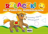 Szlaczki dla starszych przedszkolaków -  - książka