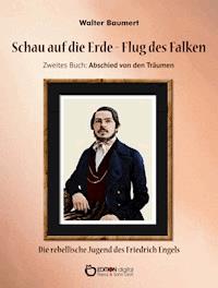 Schau auf die Erde – Der Flug des Falken. Zweites Buch: Abschied von den Träumen - Walter Baumert - ebook