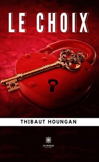 Le choix - ThiBaut HounGan - ebook