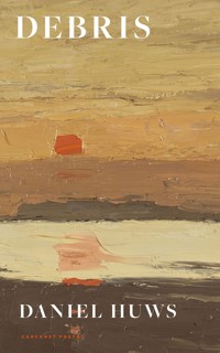 Debris - Daniel Huws - ebook
