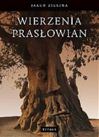 Wierzenia prasłowian - Zielina Jakub - książka