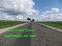 Legal - illegal... Mir egal - Braun Alexander - ebook