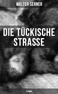 Die tückische Straße (19 Krimis) - Walter Serner - ebook