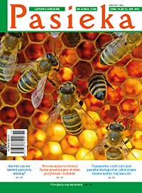 Pasieka 2024 nr 6 - Czasopismo Pasieka - ebook