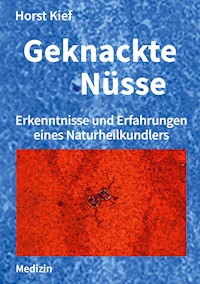 Geknackte Nüsse - Horst Kief - ebook