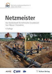 Netzmeister -  - ebook