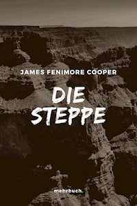 Die Steppe - James Fenimore Cooper - ebook