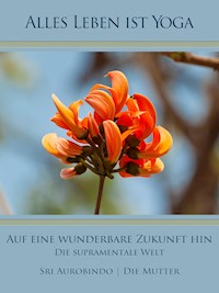 Auf eine wunderbare Zukunft hin - Sri Aurobindo - ebook