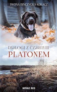 Dialogi z czarnym Platonem - Iwona Bińczycka-Kołacz - ebook + książka