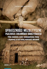 Społeczności mezolityczne Pojezierza Chełmińsko-Dobrzyńskiego - Osipowicz Grzegorz - książka