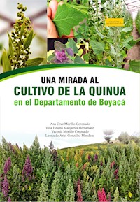 Una mirada al cultivo de la quinua en el departamento de Boyacá - Ana Cruz Morillo Coronado - ebook