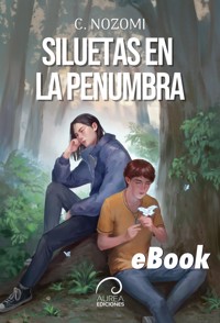 Siluetas en la penumbra - C. Nozomi - ebook