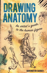 Drawing Anatomy - Barrington Barber - książka