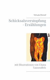 Schicksalsverstopfung - Erzählungen - Yehuda Shenef - ebook
