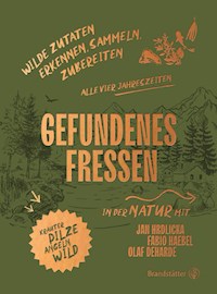 Gefundenes Fressen - Fabio Haebel - ebook
